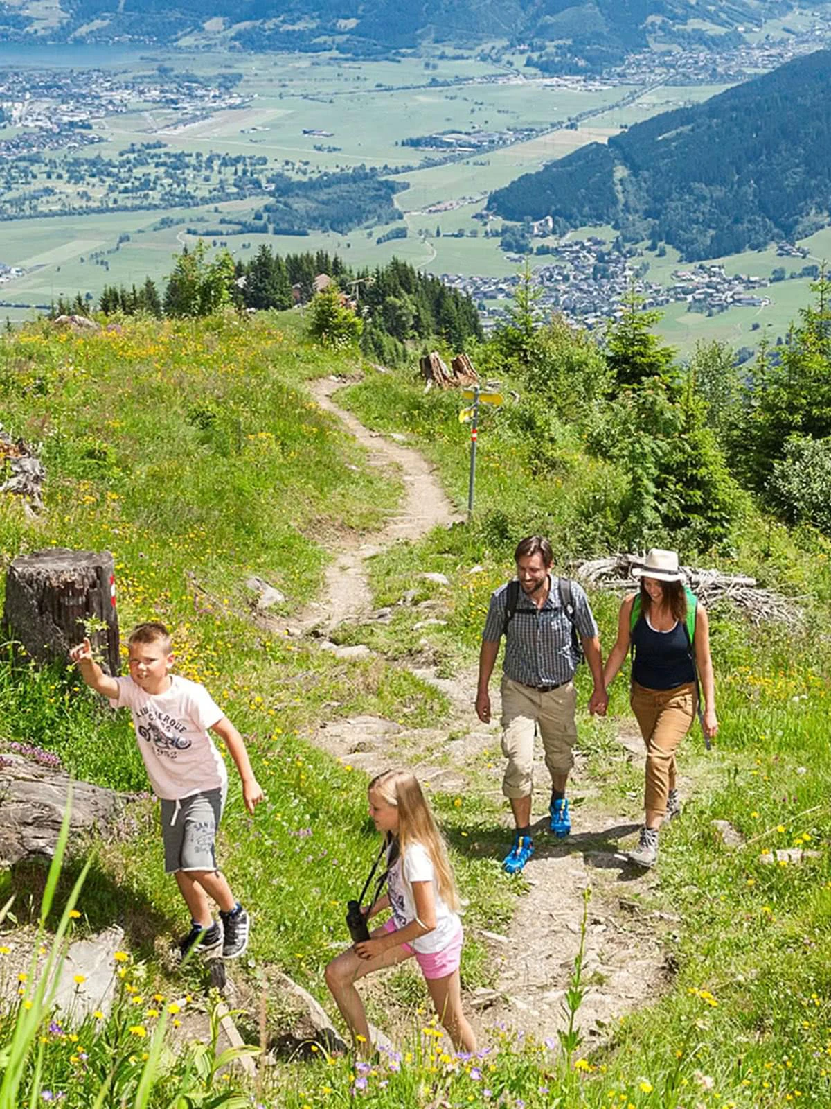 Omgeving in de zomer